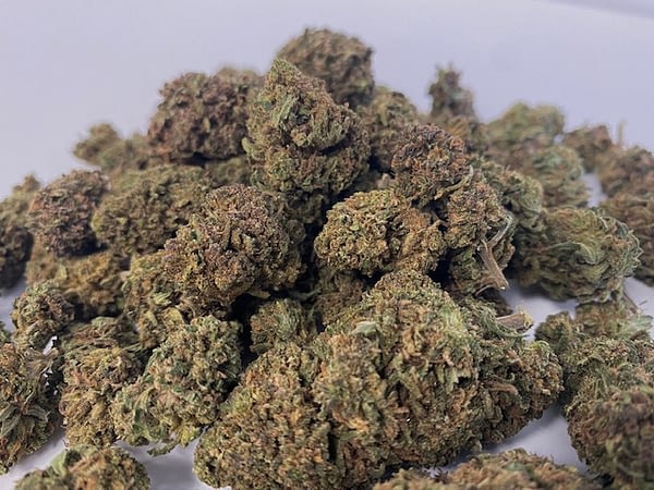 The Benefits of Hemp Buds