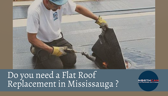 Do you need a Flat Roof Replacement in Mississauga?
