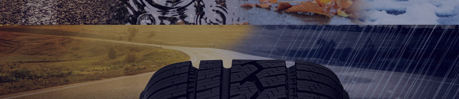 Why are tyres referred to be the vehicle's spine ?
