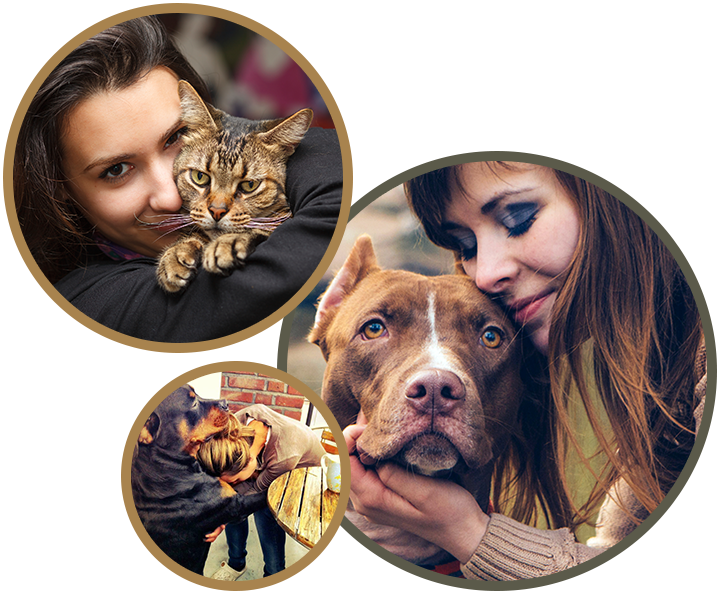 The Role of Veterinary Professionals in Pet Euthanasia