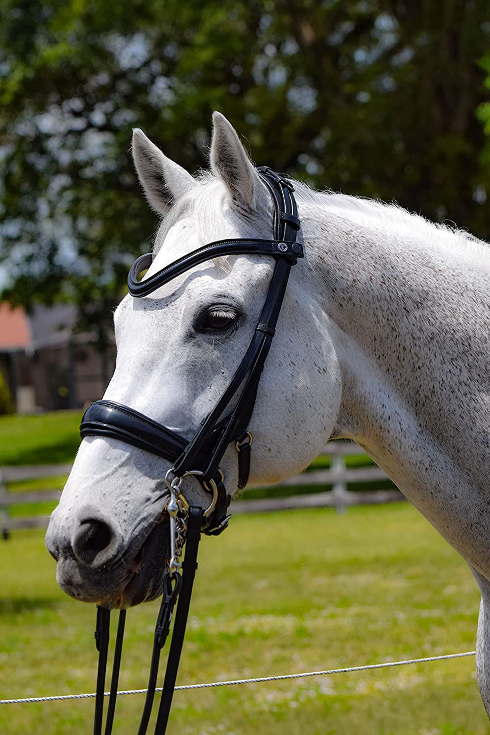 High-Quality Andros ‎Double Dressage Bridle
