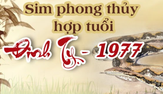 Sim phong thủy hợp tuổi 1977 có thực sự vượt trội hơn vật phẩm hộ thân khác?