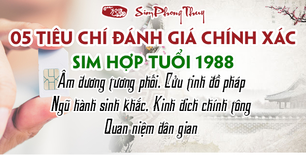 #5 Tiêu chí đánh giá sim hợp tuổi Mậu Thìn 1988 chính xác nhất
