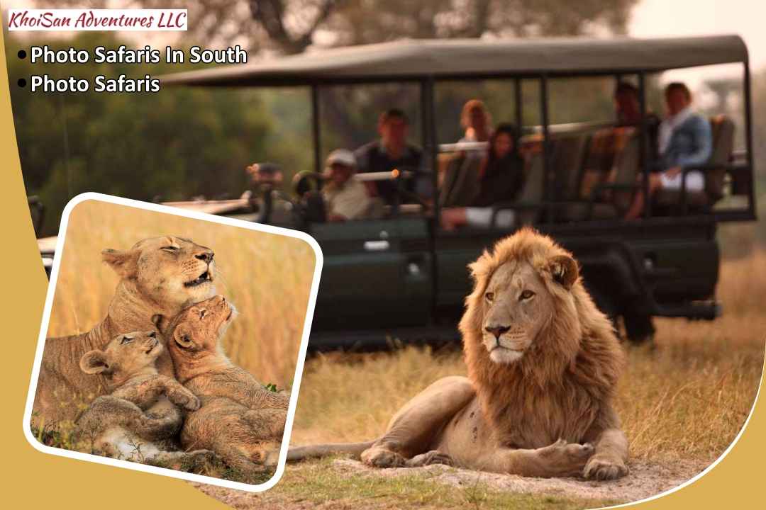 Khoisanadventures Photo Safaris in South Africa CUSTOMER REVIEWS