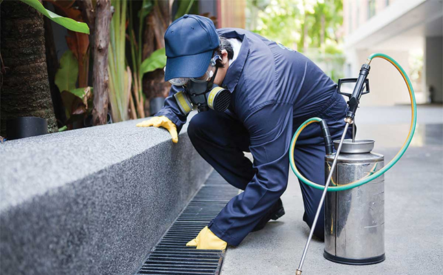 Looking For Best Housekeeping Services in Baddi - Ultimate Utilities