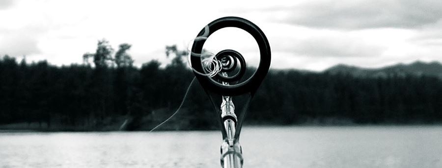 Fishing rods