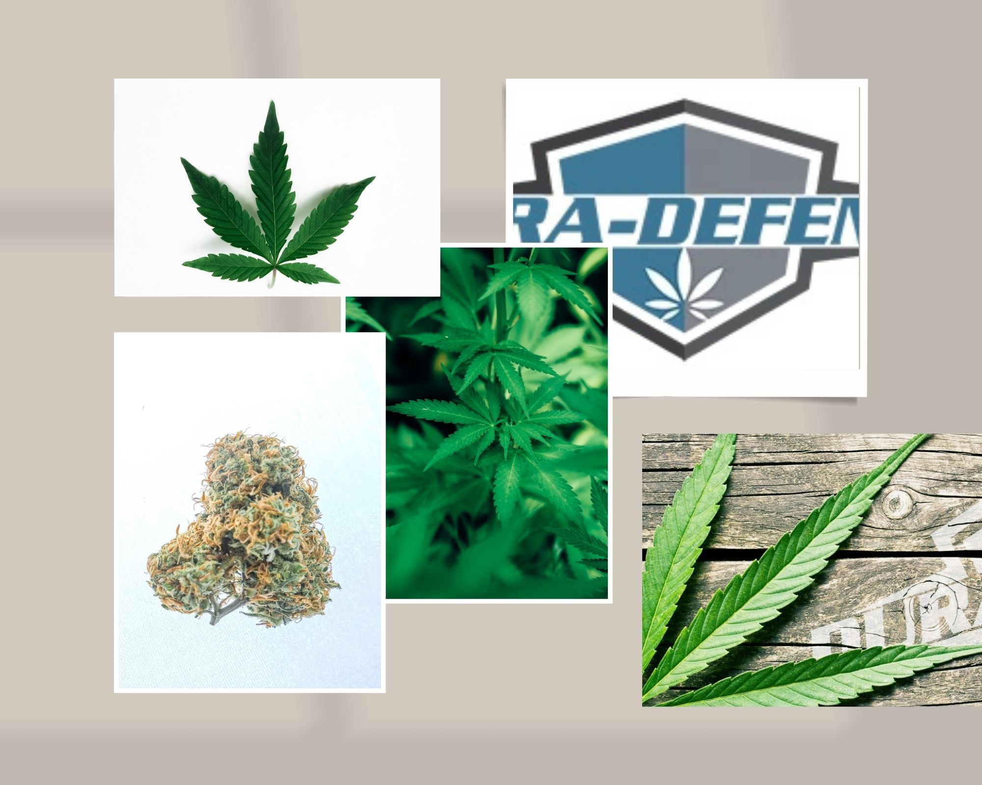 Cannabis Product Packaging - Dura Defense