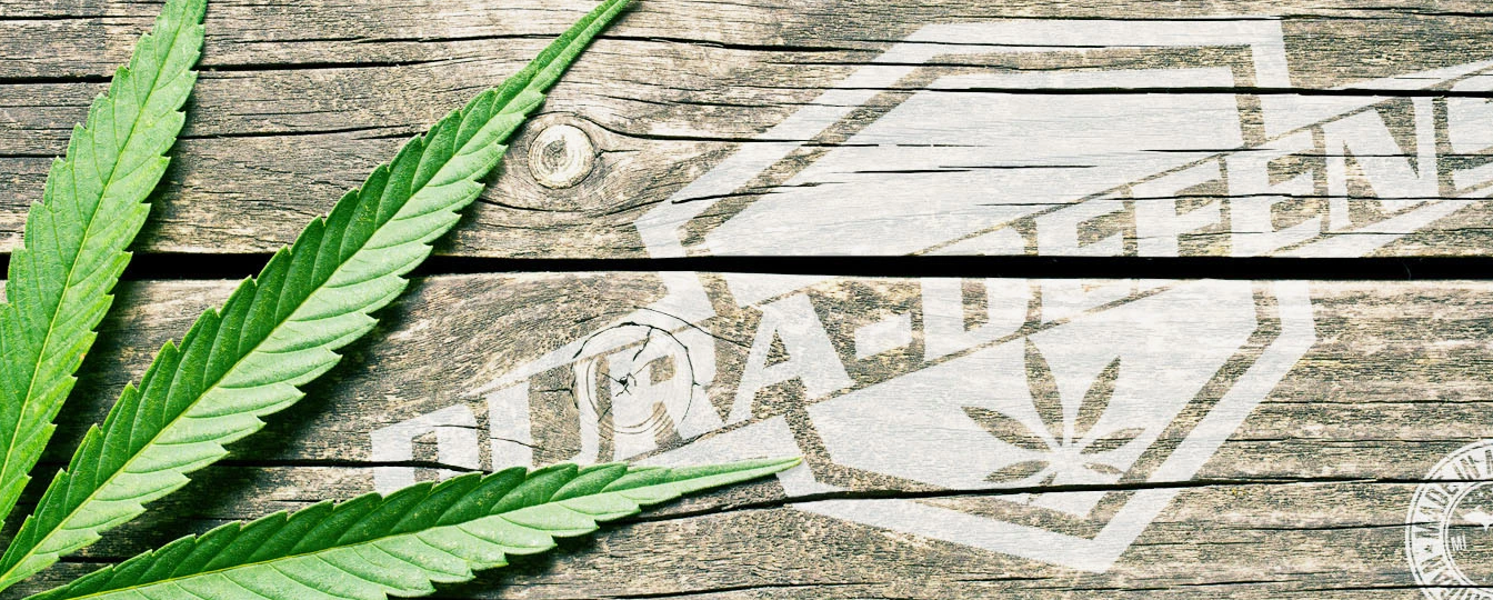 Marijuana Gummies Packaging  - Packaging for Cannabis