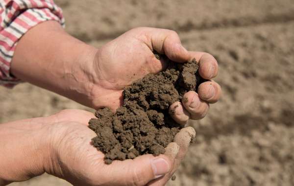 What is Super Soil? Composition and benefits of Super Soil