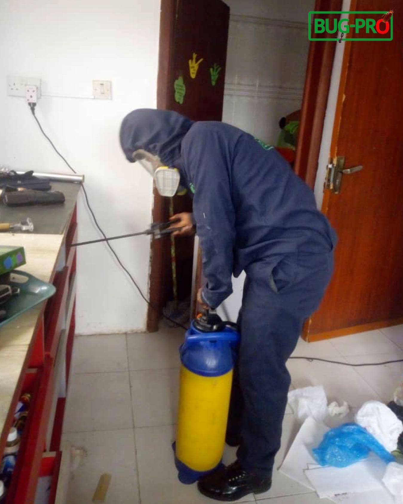 How Pest Control Can be Fully Integrated Into Homes With Fumigation Companies In Lagos