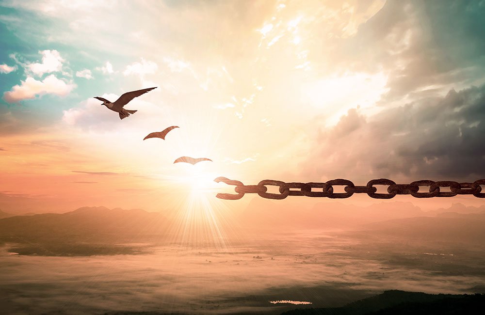 Wellness, Miracles and Healing - Revolutionary Healing