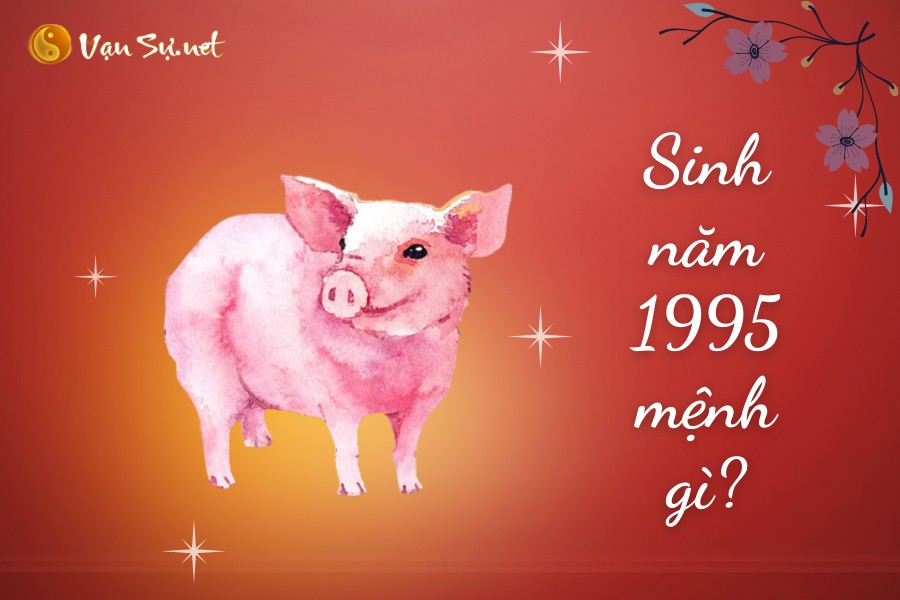 Tử vi năm 2022 Ất Hợi 1995 nam mạng gặp sao gì chiếu mệnh?