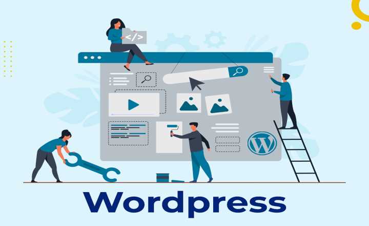 WordPress Blog SEO: Top 5 Tips for Beginners to Improve SEO