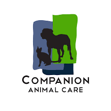  Global Companion Animal Care Market 2023 Analysis Report by Recent Developments and Emerging Technologies Till 2028