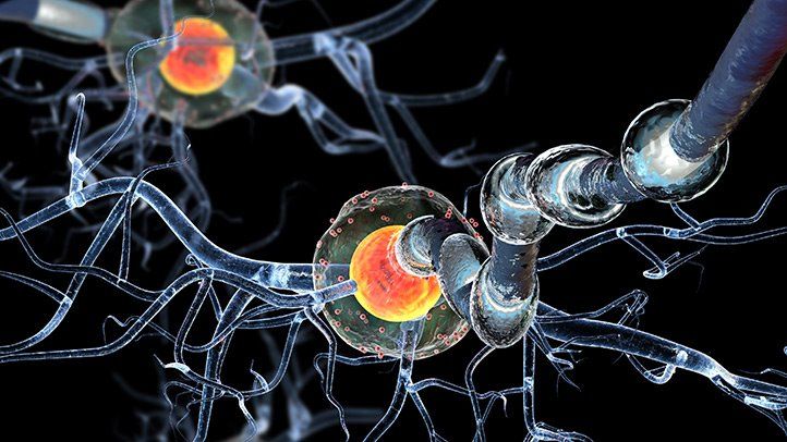 Autoimmunity Immunoassay Market Size, Drivers, Restraints Challenges, and Growth Opportunities Till 2028