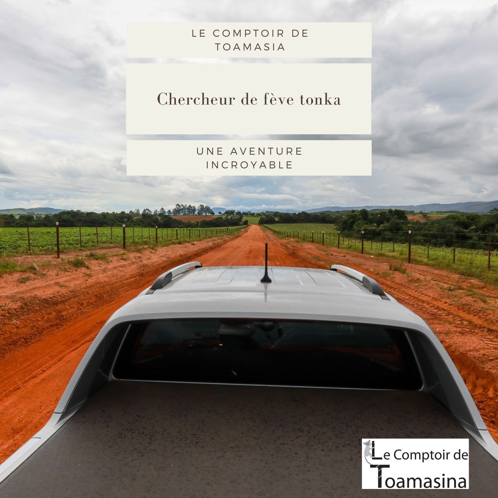 Fève Tonka la vanille du Brésil