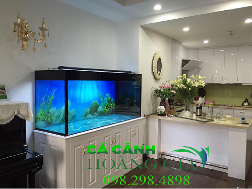 Giá thiết kế và thi công bể cá cảnh đẹp hiện nay