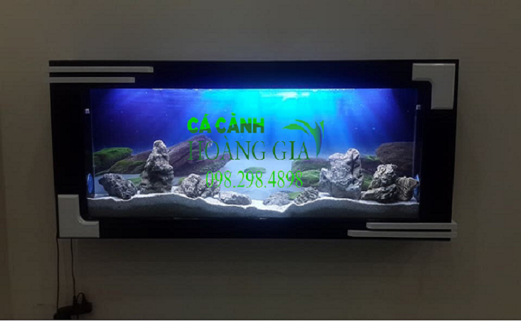 Mẫu bể cá treo tường nghệ thuật sang trọng, trang nhã nhất tại Hà Nội