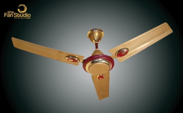Designer Ceiling Fans