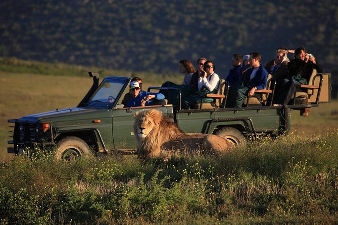 Know These Things If You Are Planning South Africa trip