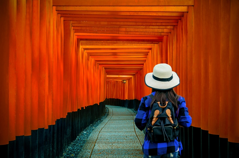 Why Should You Take Group Tours in Japan?