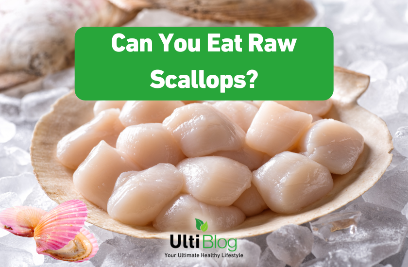 Can You Eat Raw Scallops?