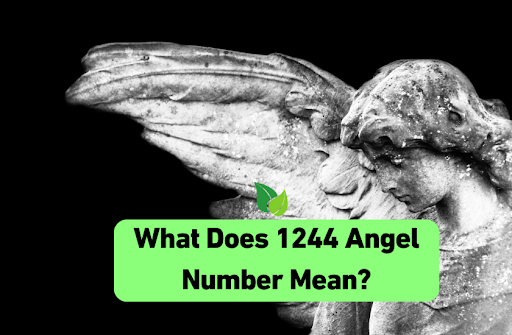 What Does 1244 Angel Number Mean?