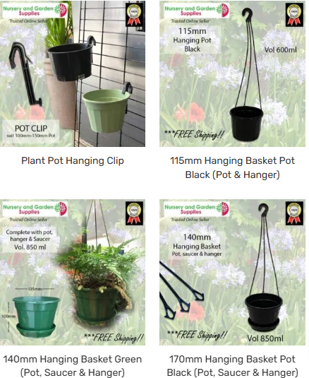 Ultimate Guide to Nursery Pots: Choosing the Right Size for Your Plants in New Zealand