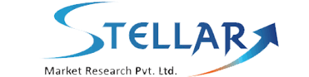 Morocco Traditional Leather Market Opportunities, Future Trends, Business Demand and Growth Forecast 2027