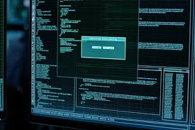 Software Vulnerability Assessment Service Market 