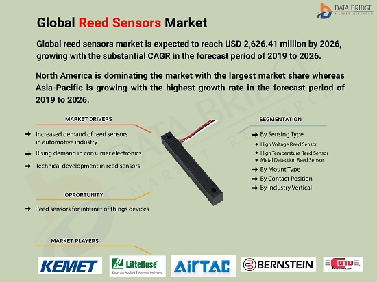 Reed Sensor Market key players Insight and Growth Driver Analysis 2029