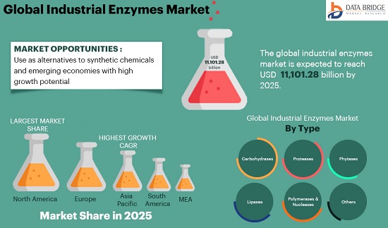 Industrial Enzymes Market Size, Share, Latest Trends, Business Strategies and Forecast by 2029
