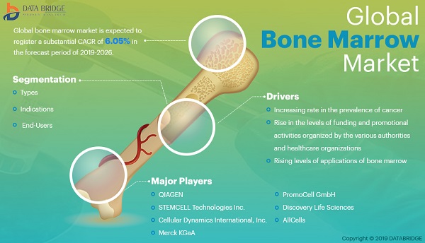Bone Marrow Market forecast to 2028 is waiting for its Next Big Movement 