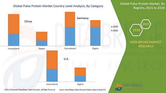 Pulse Protein Market Research Report Up to 2028