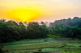 5 Tips to Choose the Best Homestay in Chikmagalur