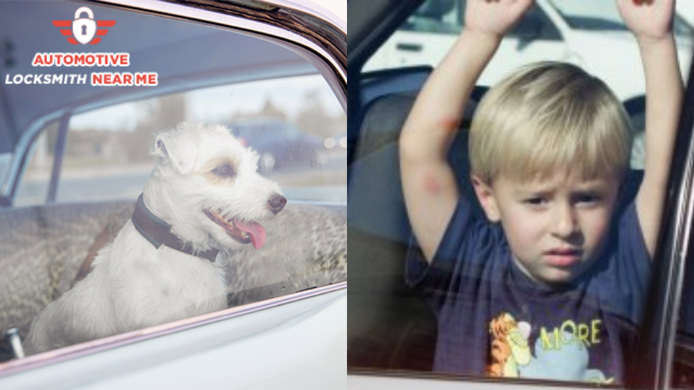 What to Do When You're Locked Out?