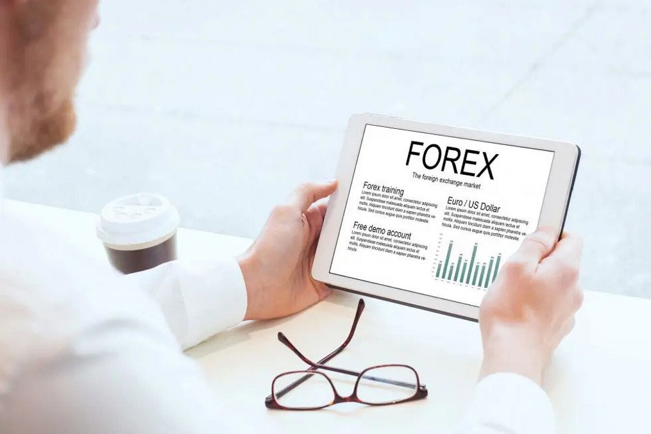 Are You Looking For The Best Forex Training Course Online?