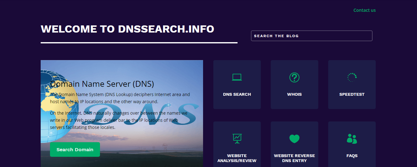 Domain name server checker