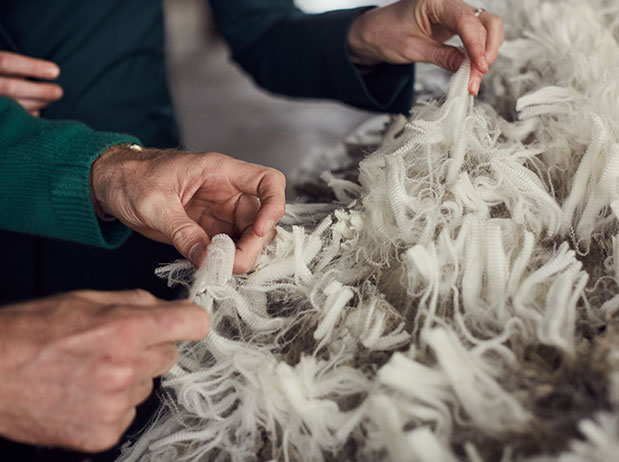 Wool Textile in India 