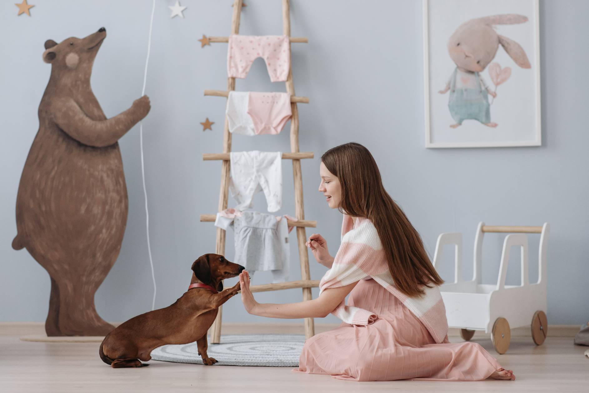 A Pet Owner’s Guide To Pet Etiquette