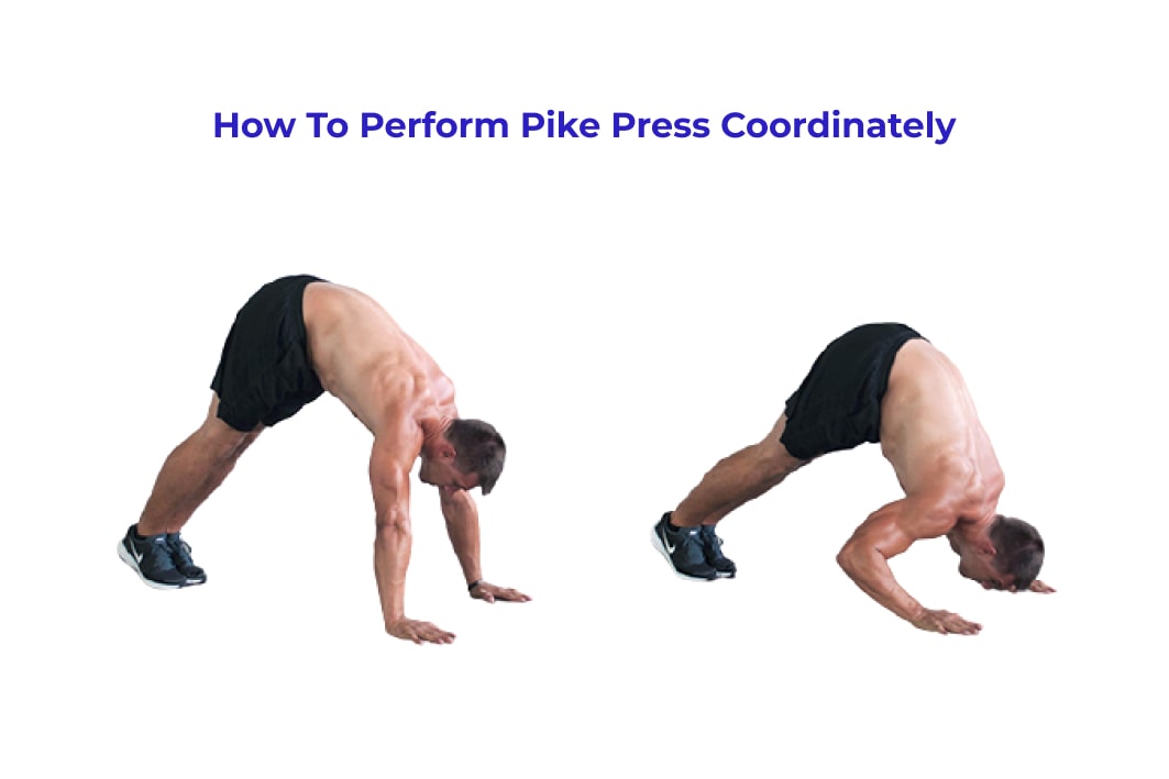 The Ultimate Guide On How To Perform Pike Press Coordinately