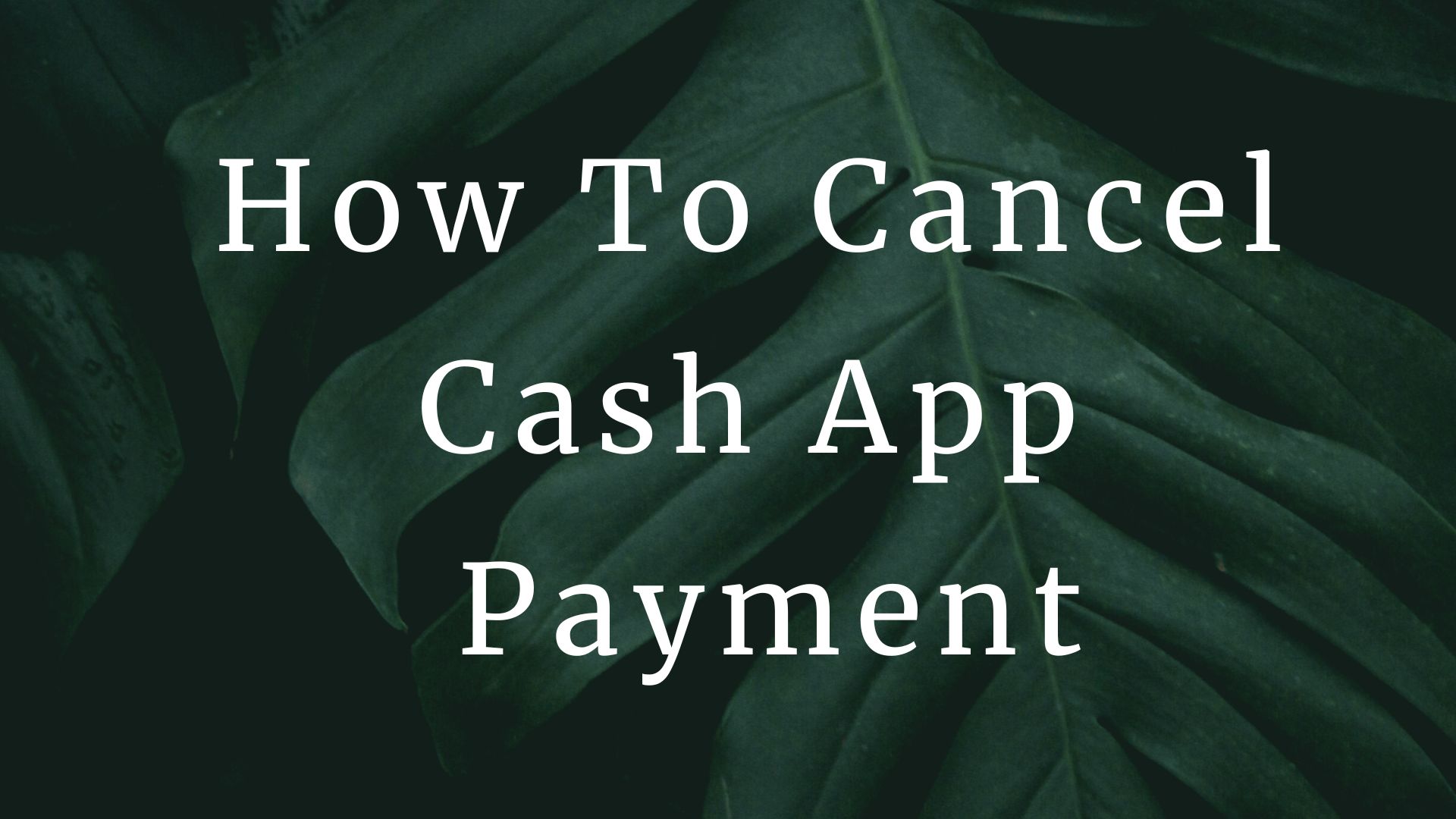 How Does Sender Cancel A Cash App Payment?