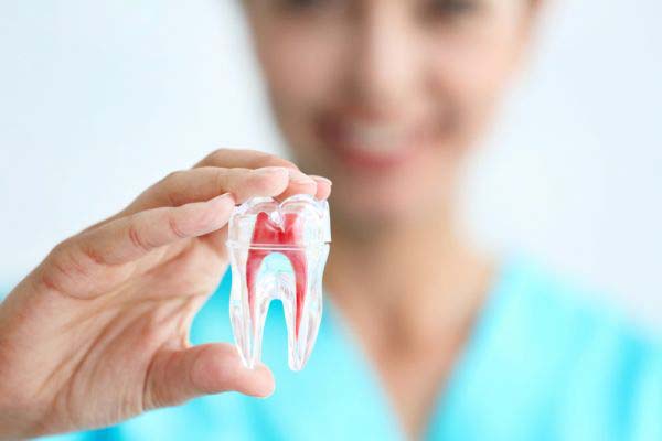 What Is The Importance Of Regular Dental Checkup?