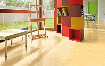 ما الذي يجعل بلاط الفينيل مميزًا جدًا؟