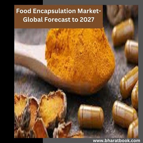 Global Food Encapsulation Market Size, Study, By Product, Application, And Forecasts 2027
