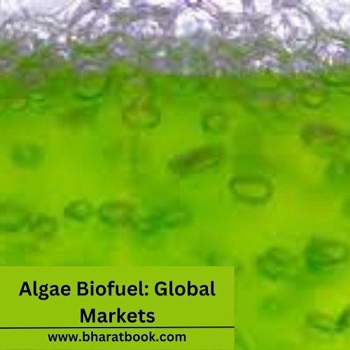 Global Algae Biofuel Market Analysis, Application, And Forecast To 2022-2027