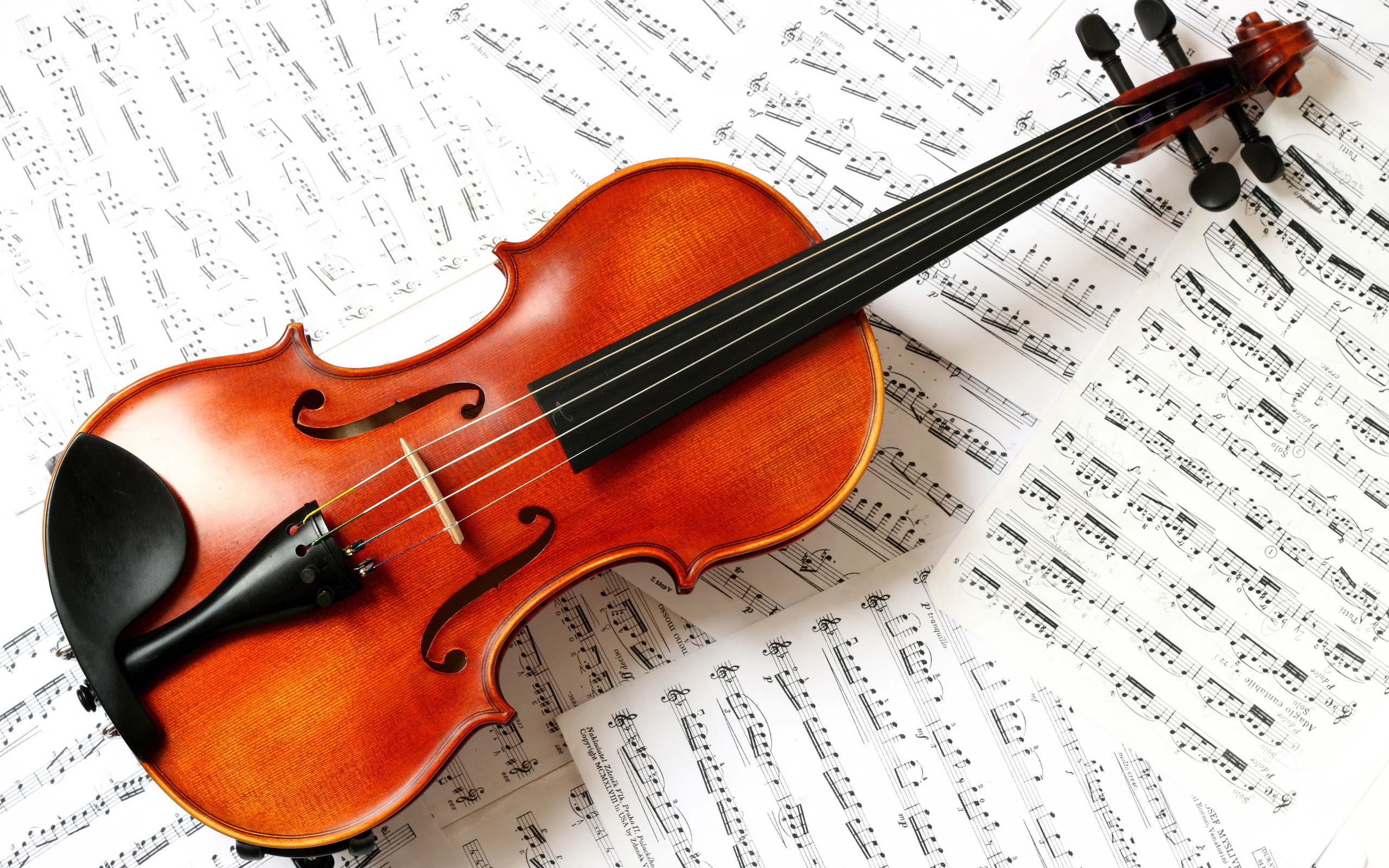 Types of violins