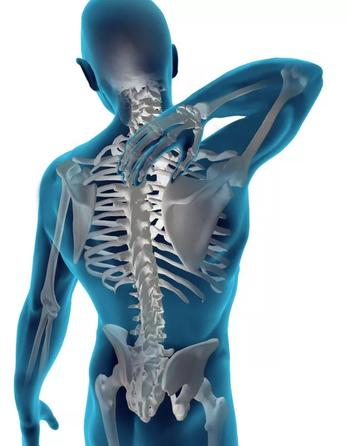 Chiropractor Pensacola FL