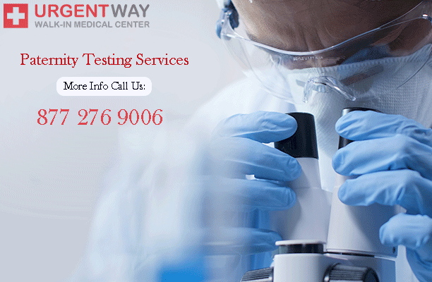 How much does the Paternity Test cost through the courts?