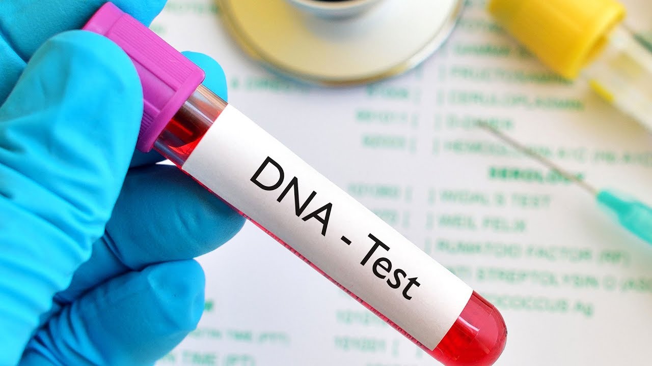 DNA Paternity Testing in New York City